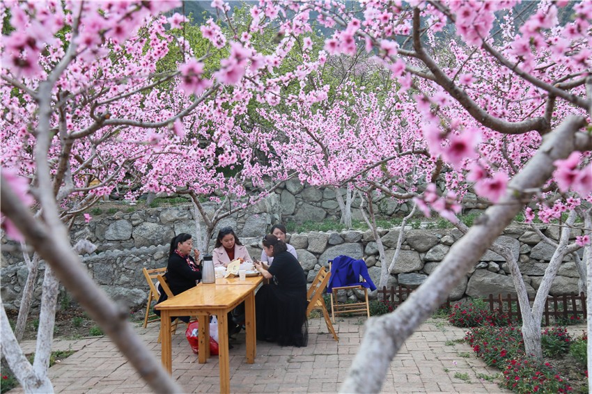 農(nóng)家樂(lè)吸引.jpg 農(nóng)家樂(lè)吸引.jpg