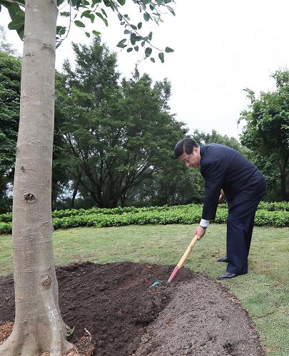 2012年12月7日至11日，習(xí)近平在廣東省考察工作。這是8日上午，習(xí)近平在深圳蓮花山公園種下一棵高山榕樹。新華社記者 蘭紅光 攝