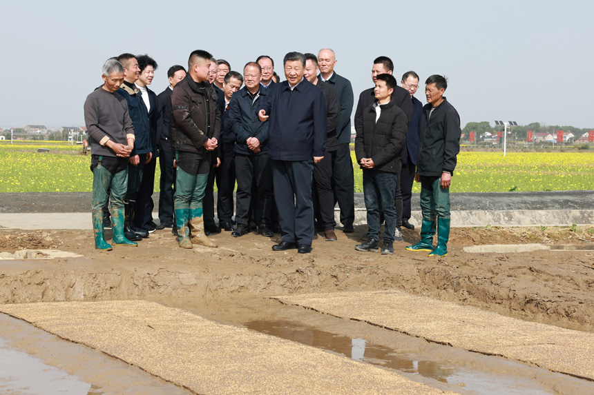 2024年3月18日至21日，中共中央總書記、國家主席、中央軍委主席習近平在湖南考察。這是19日下午，習近平在常德市鼎城區(qū)謝家鋪鎮(zhèn)港中坪村走進田間，察看秧苗培育和春耕備耕進展。新華社記者 王曄 攝